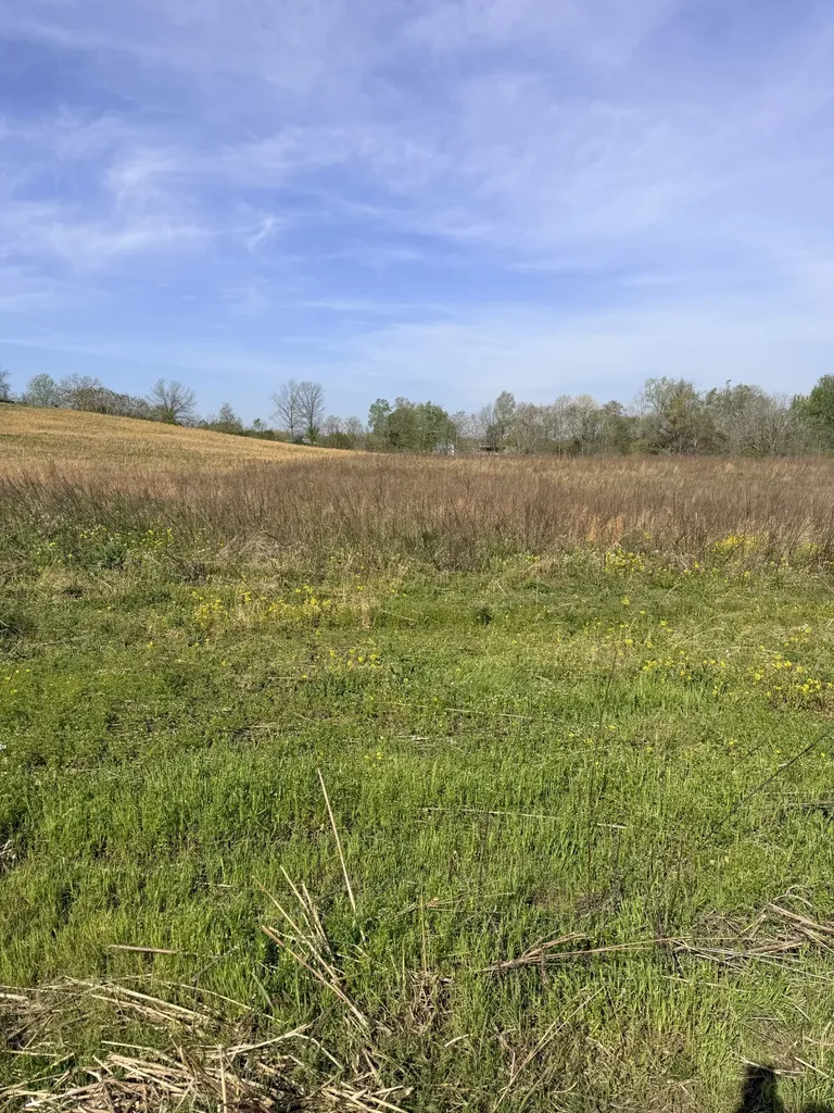 0 Oakmere Lane Lafayette TN 37083