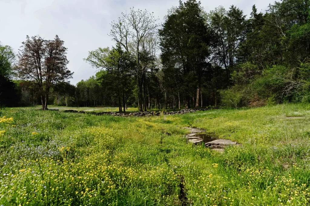 1489 Old Tva Road Columbia TN 38401
