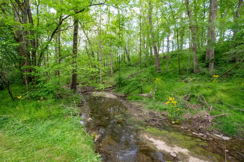 2073 Phillips Street Lewisburg TN 37091