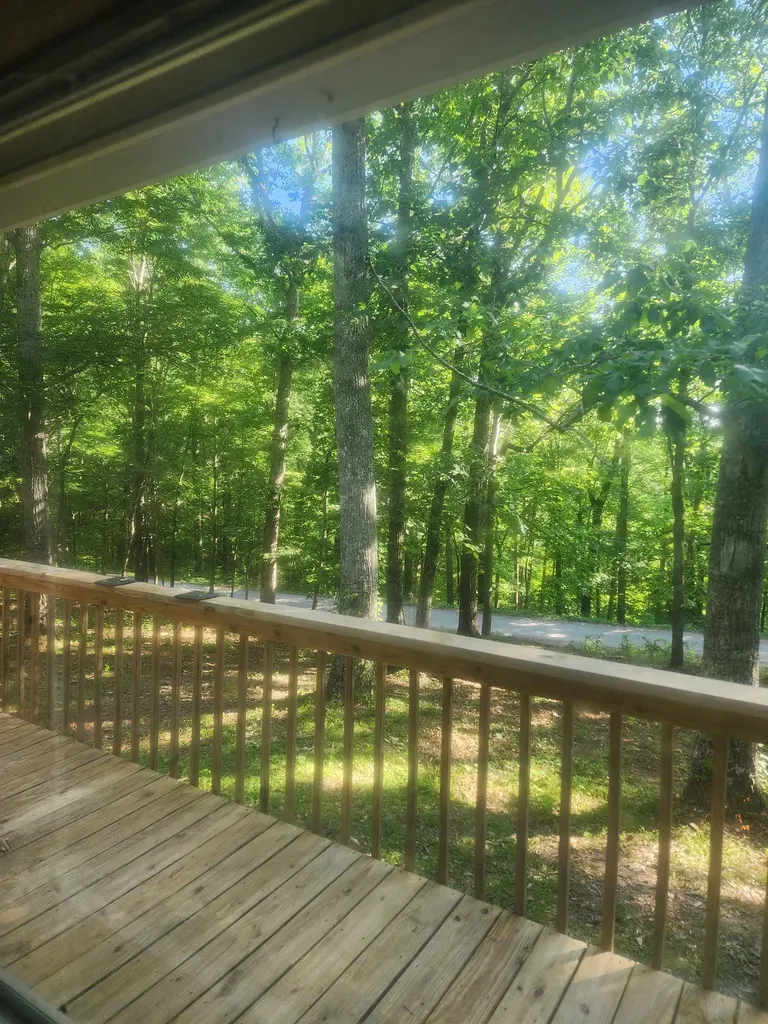 198 Neil Drive Smithville TN 37166