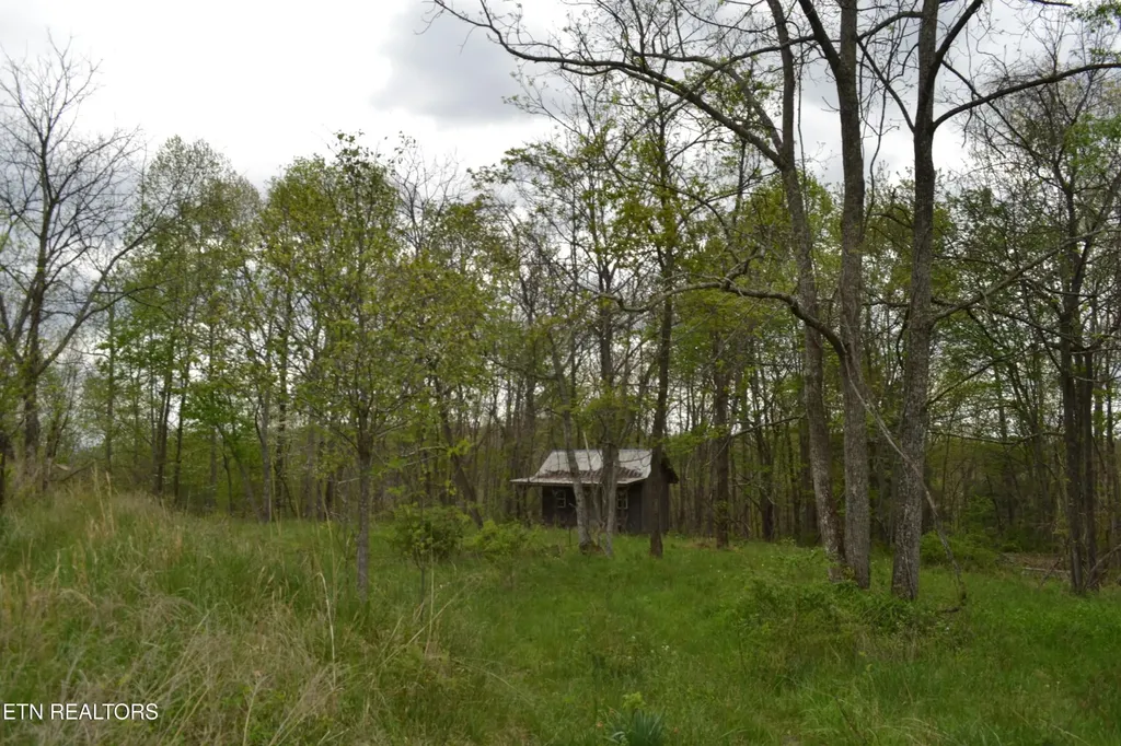 0 N Of Deer Lodge Highway Deer Lodge TN 37726