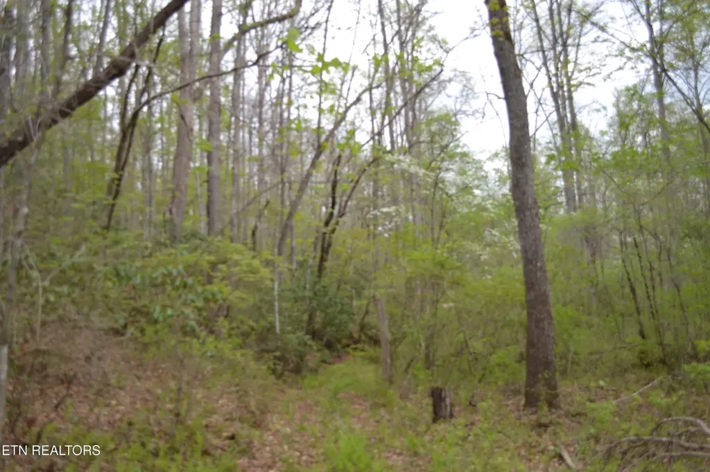 0 N Of Deer Lodge Highway Deer Lodge TN 37726