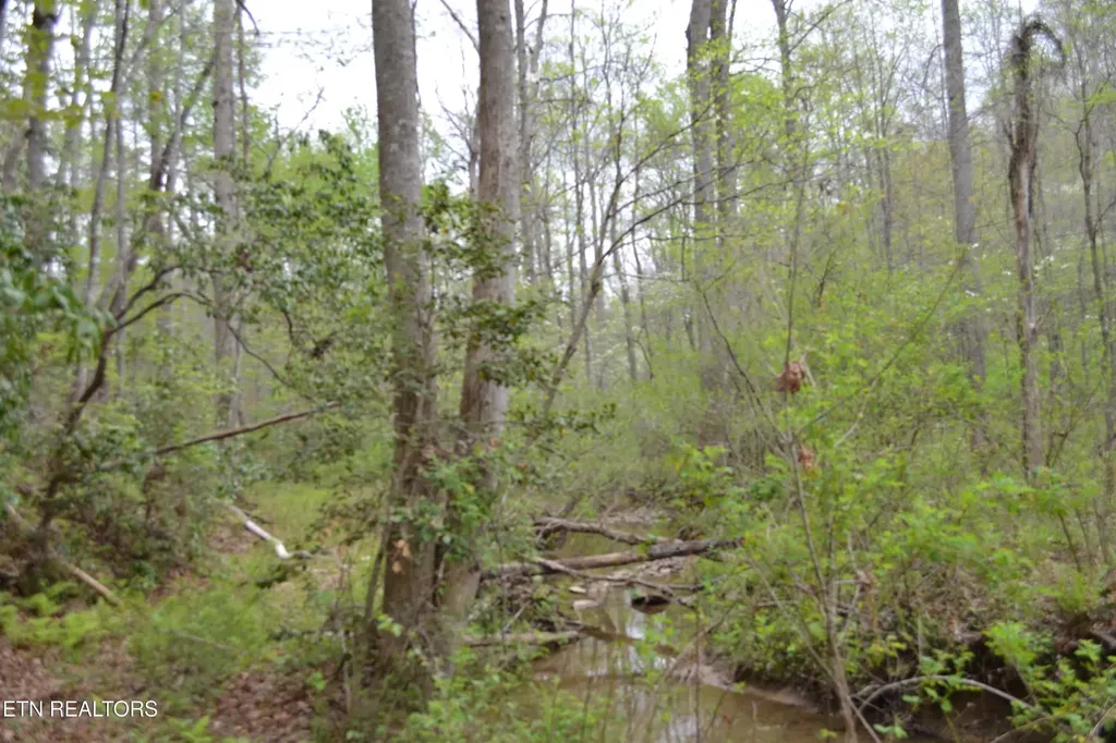 0 N Of Deer Lodge Highway Deer Lodge TN 37726