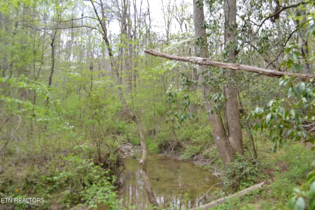 0 N Of Deer Lodge Highway Deer Lodge TN 37726