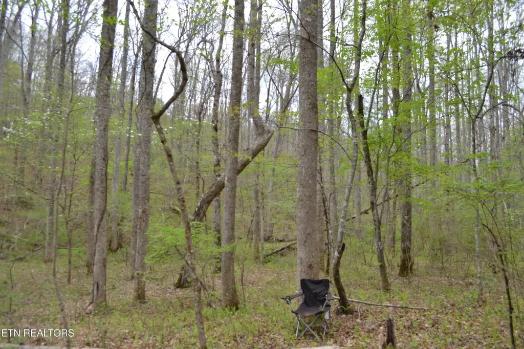 0 N Of Deer Lodge Highway Deer Lodge TN 37726