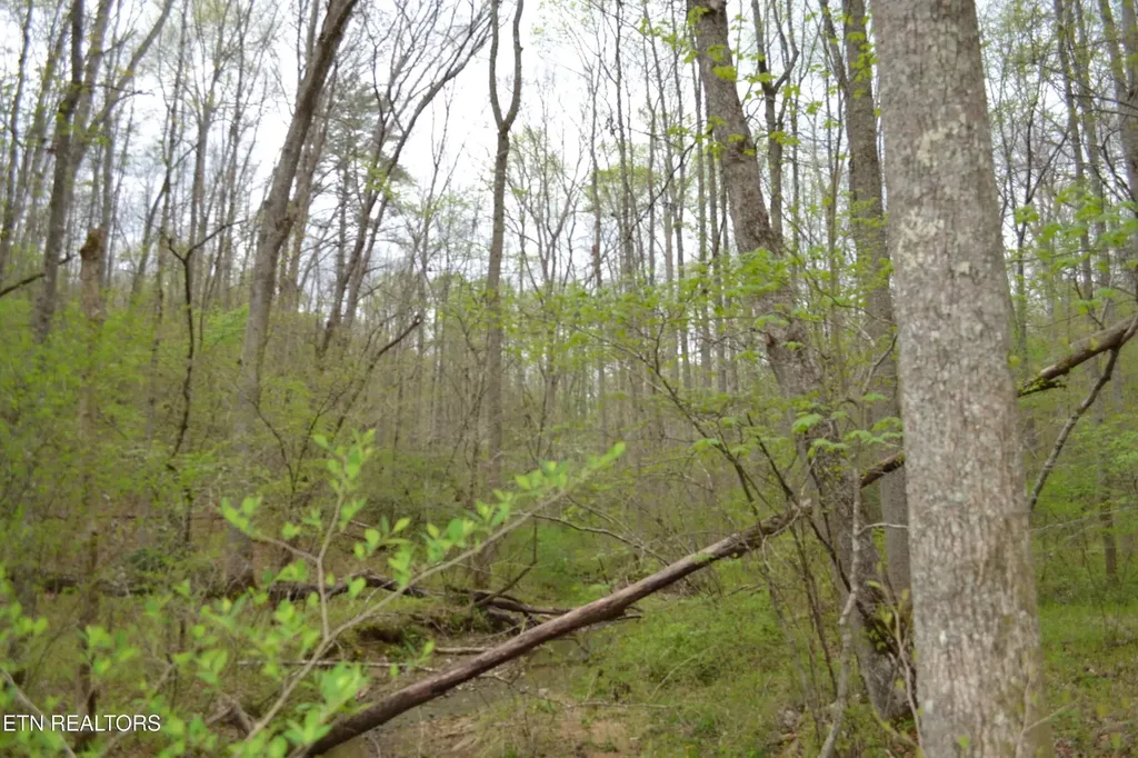 0 N Of Deer Lodge Highway Deer Lodge TN 37726