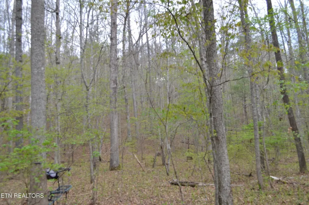 0 N Of Deer Lodge Highway Deer Lodge TN 37726