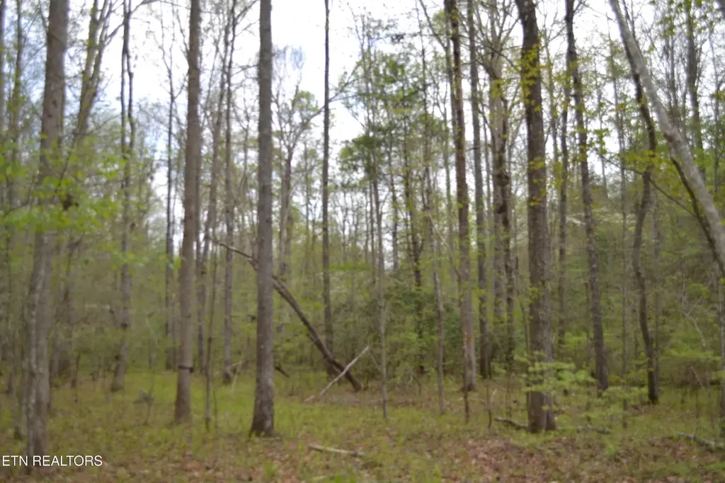 0 N Of Deer Lodge Highway Deer Lodge TN 37726