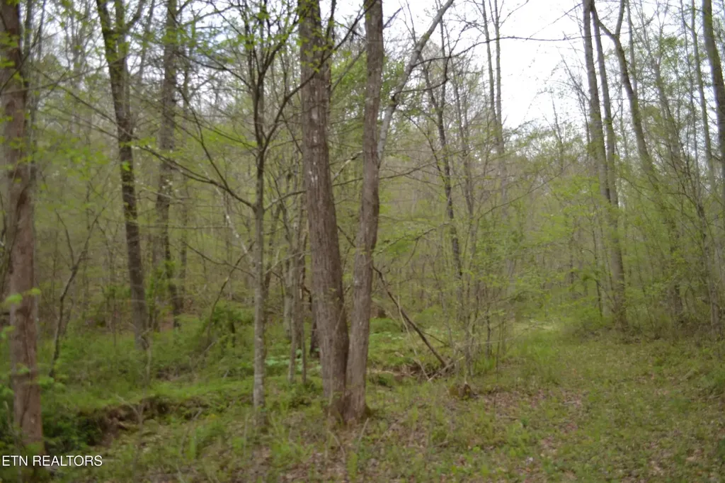 0 N Of Deer Lodge Highway Deer Lodge TN 37726