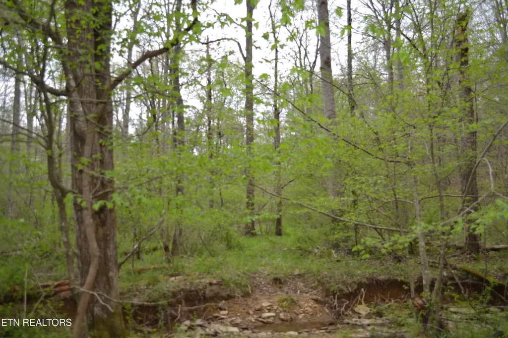 0 N Of Deer Lodge Highway Deer Lodge TN 37726