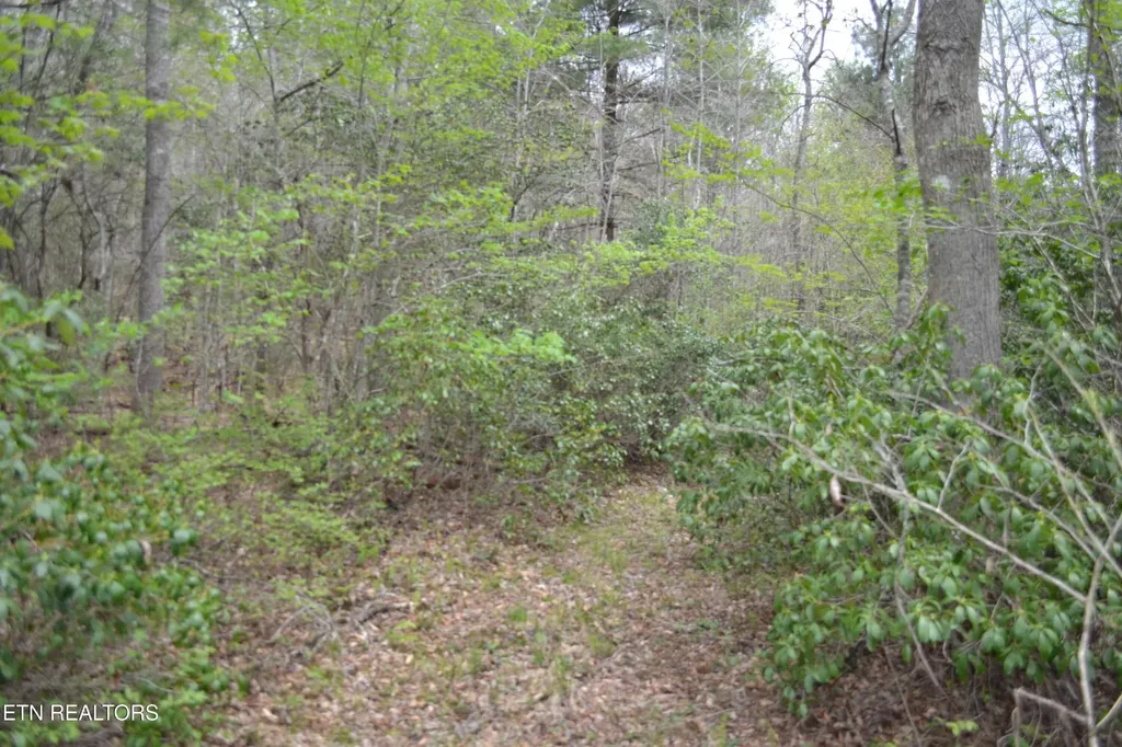 0 N Of Deer Lodge Highway Deer Lodge TN 37726