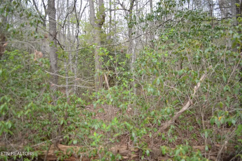 0 N Of Deer Lodge Highway Deer Lodge TN 37726