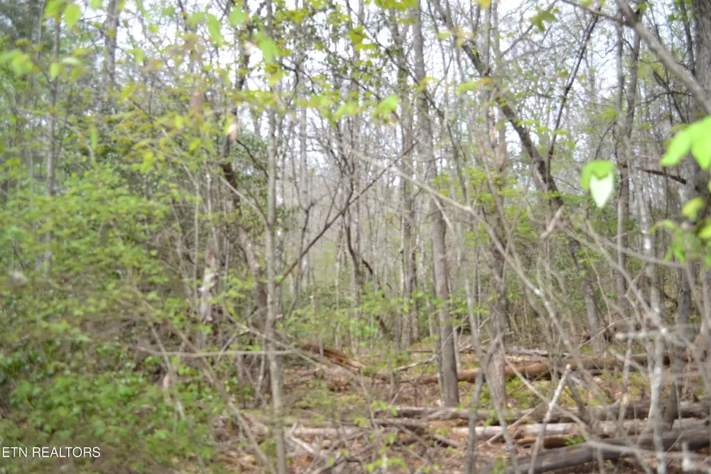 0 N Of Deer Lodge Highway Deer Lodge TN 37726