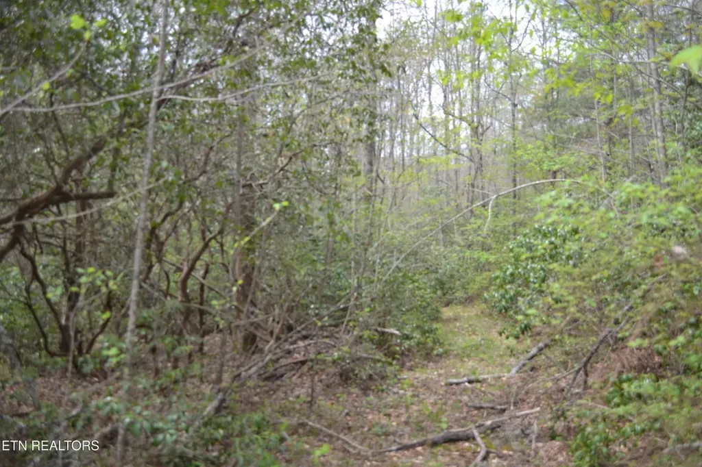 0 N Of Deer Lodge Highway Deer Lodge TN 37726