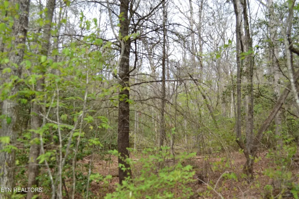 0 N Of Deer Lodge Highway Deer Lodge TN 37726