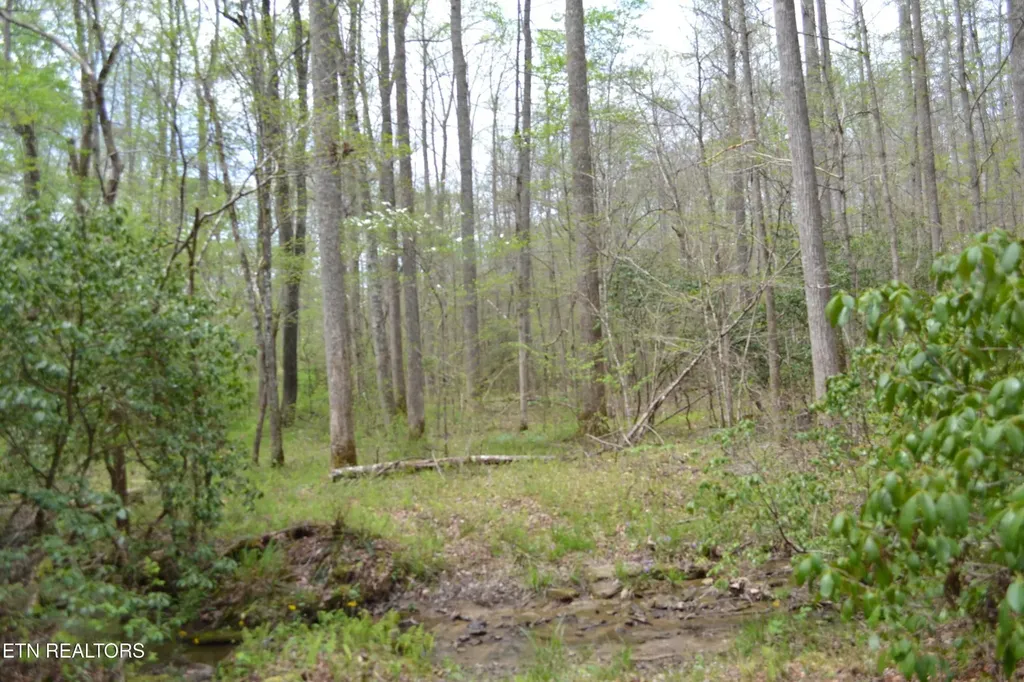 0 N Of Deer Lodge Highway Deer Lodge TN 37726