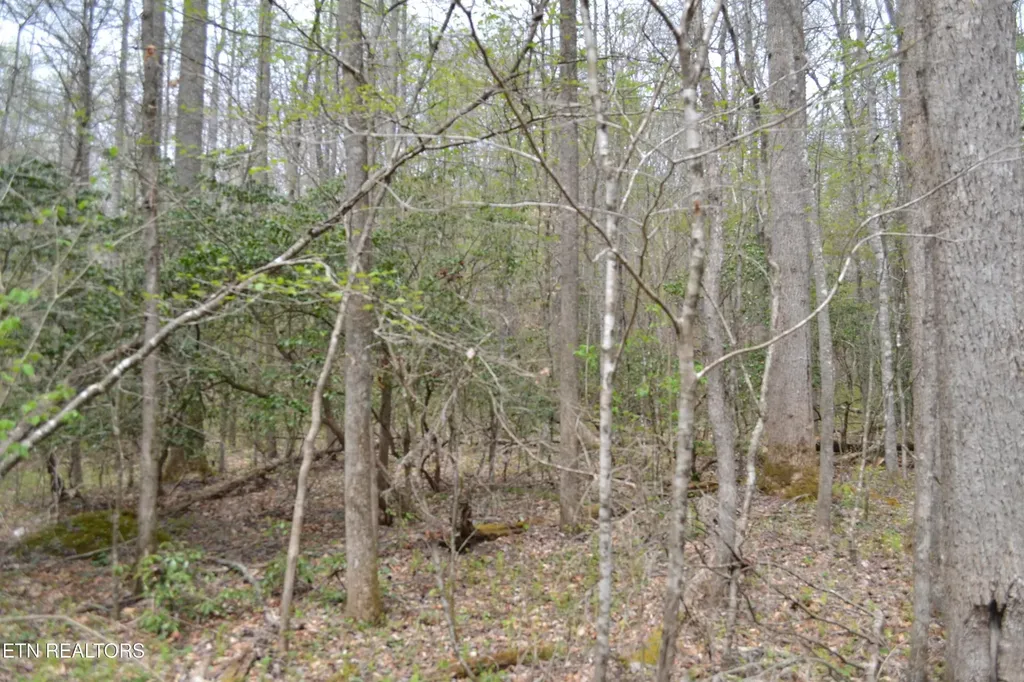 0 N Of Deer Lodge Highway Deer Lodge TN 37726