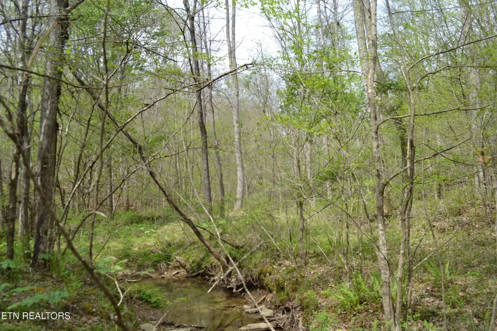 0 N Of Deer Lodge Highway Deer Lodge TN 37726