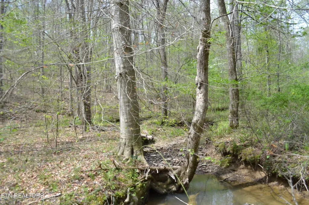 0 N Of Deer Lodge Highway Deer Lodge TN 37726