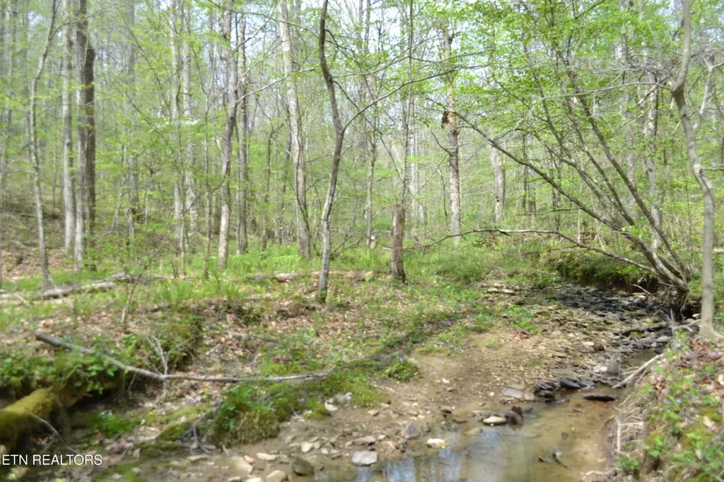 0 N Of Deer Lodge Highway Deer Lodge TN 37726