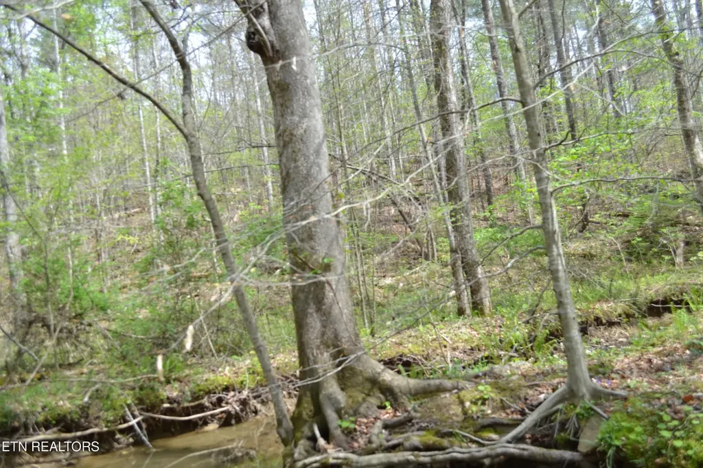 0 N Of Deer Lodge Highway Deer Lodge TN 37726