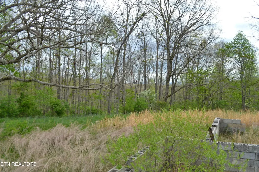 0 N Of Deer Lodge Highway Deer Lodge TN 37726