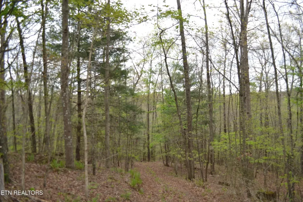 0 N Of Deer Lodge Highway Deer Lodge TN 37726