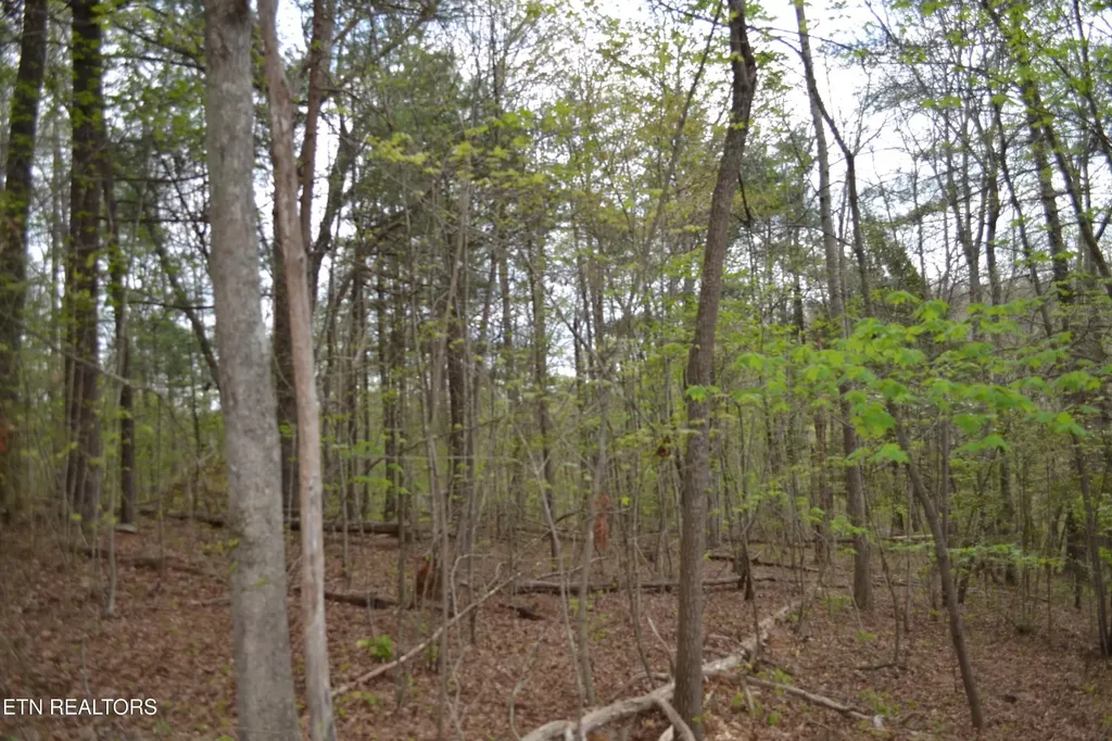 0 N Of Deer Lodge Highway Deer Lodge TN 37726