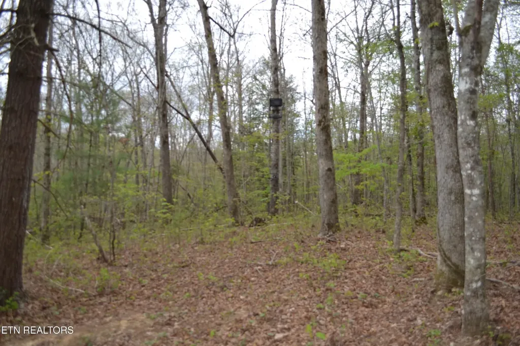 0 N Of Deer Lodge Highway Deer Lodge TN 37726