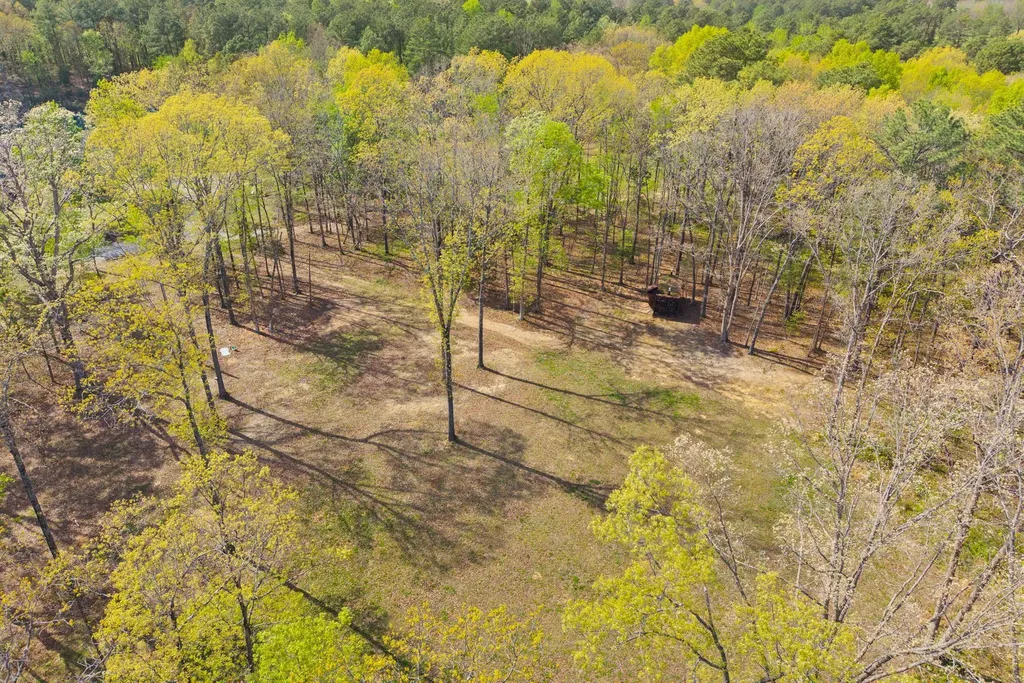 1549 Trace Creek Road Mc Ewen TN 37101