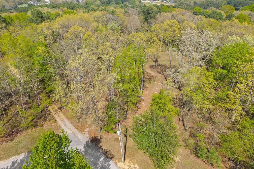 1549 Trace Creek Road Mc Ewen TN 37101