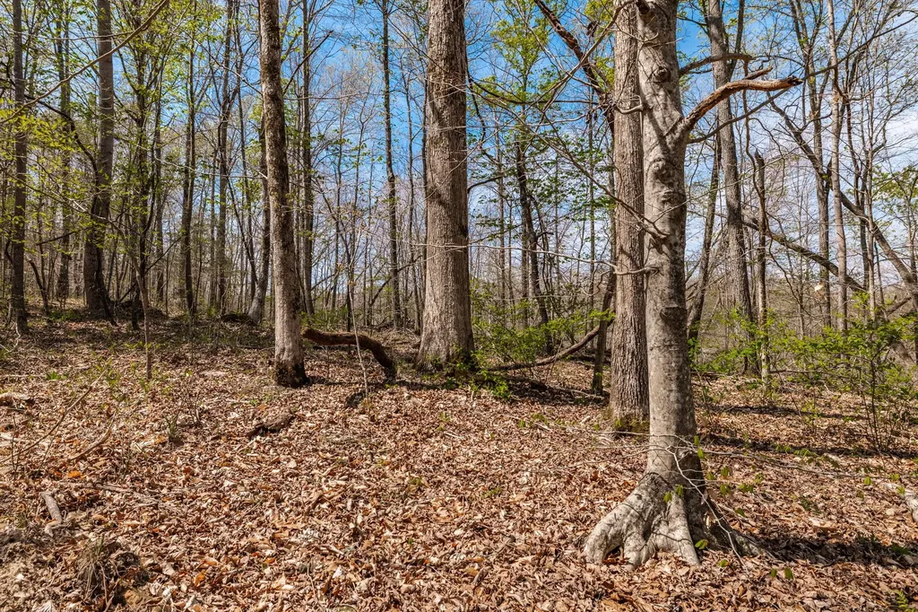 0 Mound Creek Road Kingston Springs TN 37082