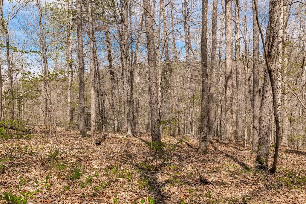 0 Mound Creek Road Kingston Springs TN 37082