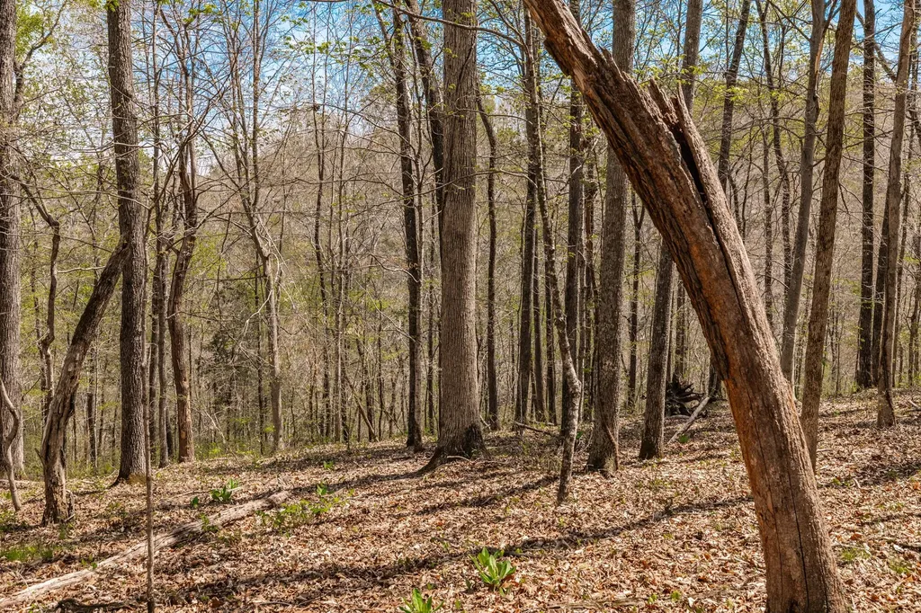 0 Mound Creek Road Kingston Springs TN 37082