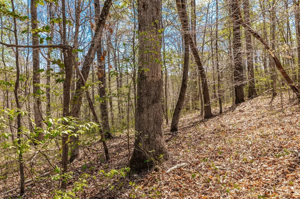 0 Mound Creek Road Kingston Springs TN 37082