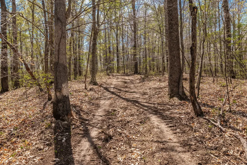 0 Mound Creek Road Kingston Springs TN 37082