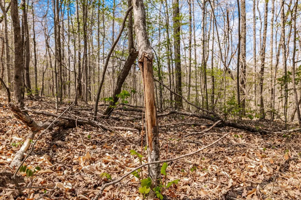 0 Mound Creek Road Kingston Springs TN 37082