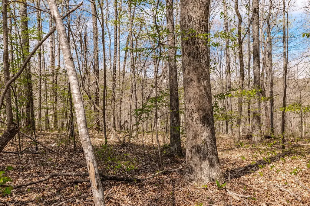 0 Mound Creek Road Kingston Springs TN 37082