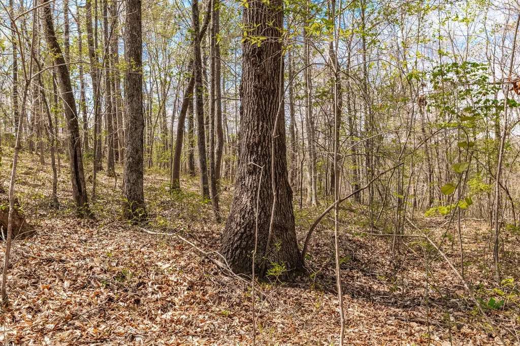 0 Mound Creek Road Kingston Springs TN 37082
