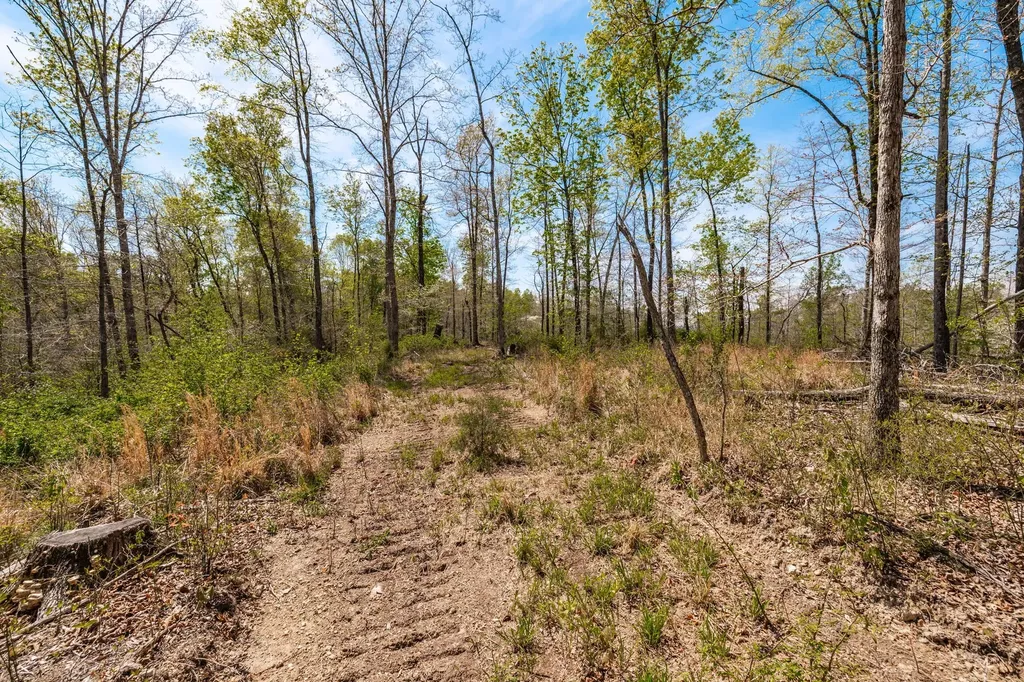 0 Mound Creek Road Kingston Springs TN 37082