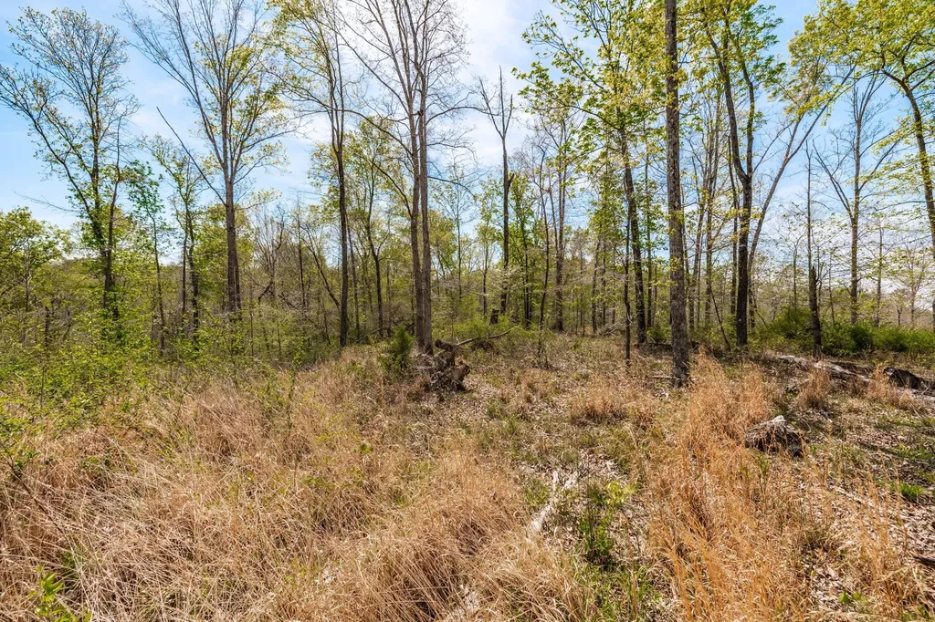 0 Mound Creek Road Kingston Springs TN 37082