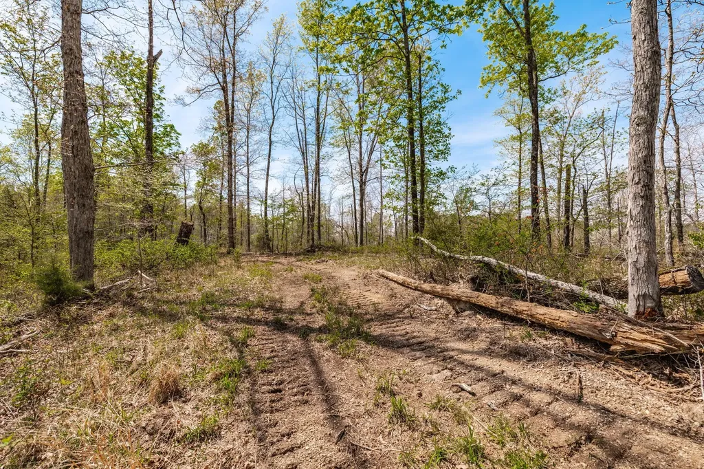 0 Mound Creek Road Kingston Springs TN 37082