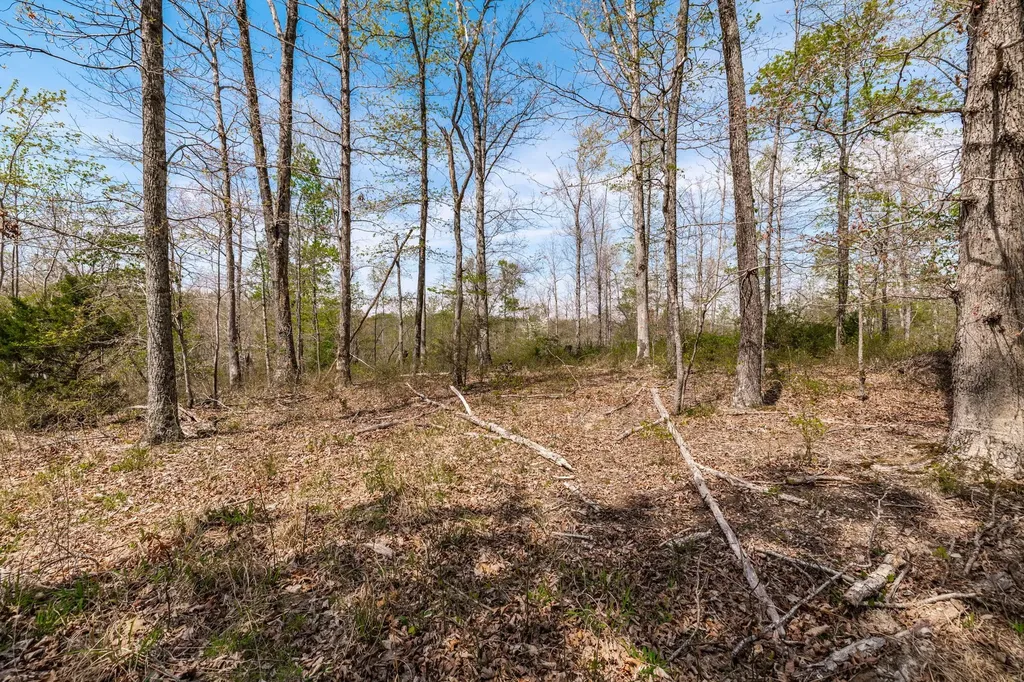 0 Mound Creek Road Kingston Springs TN 37082