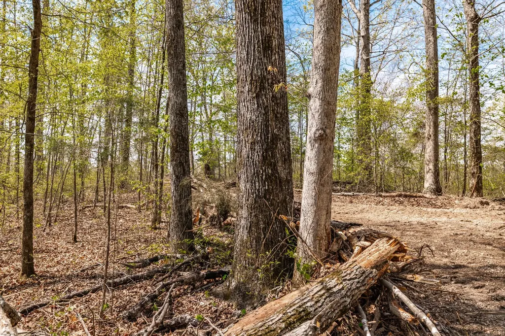 0 Mound Creek Road Kingston Springs TN 37082