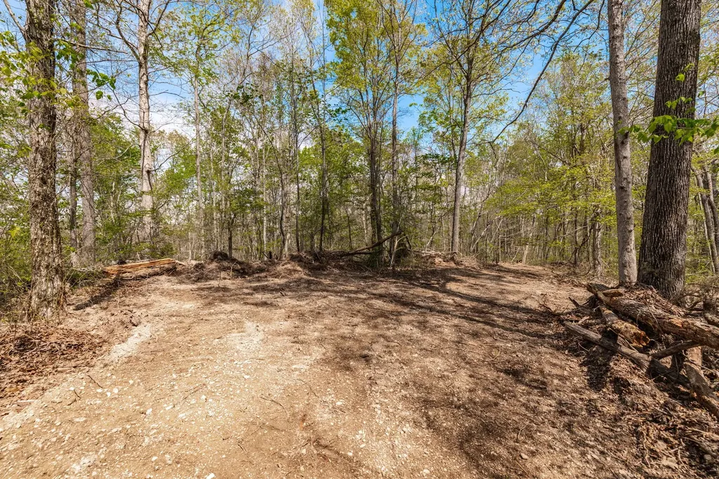 0 Mound Creek Road Kingston Springs TN 37082