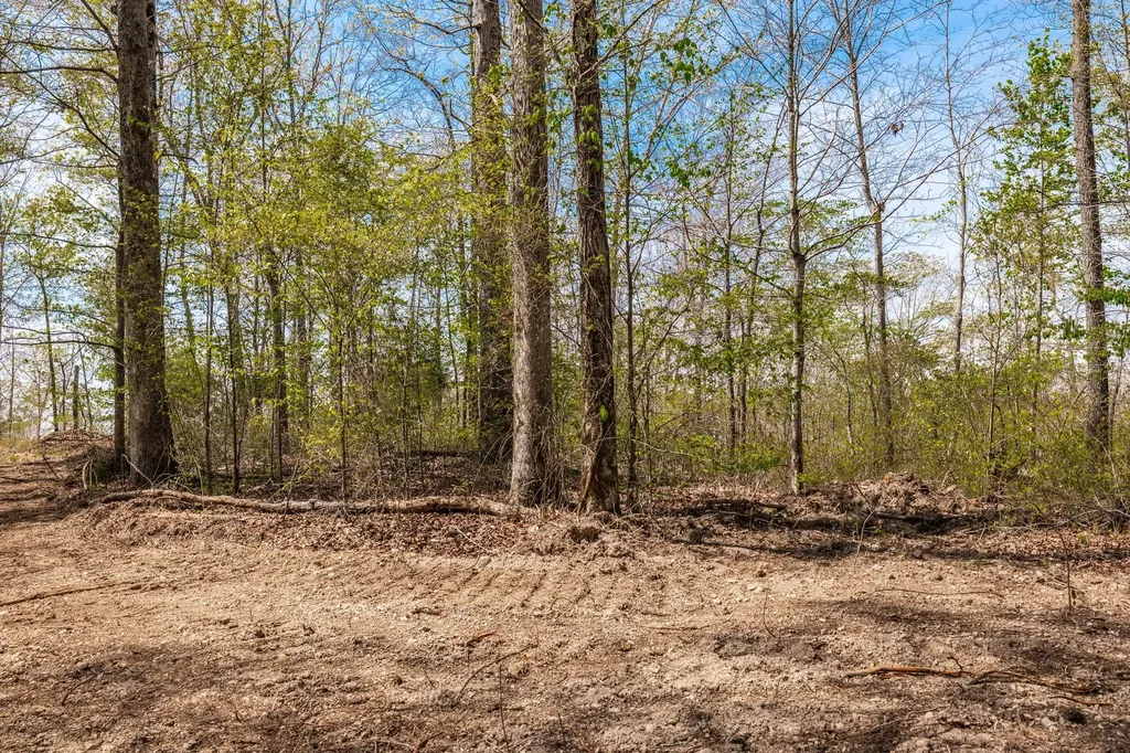 0 Mound Creek Road Kingston Springs TN 37082