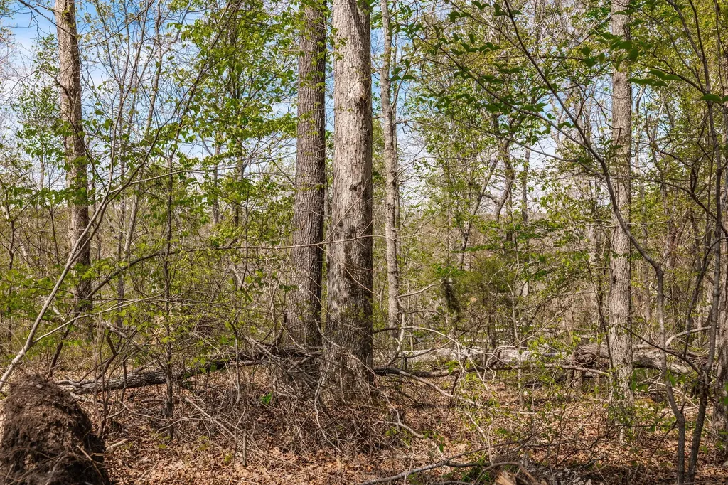 0 Mound Creek Road Kingston Springs TN 37082