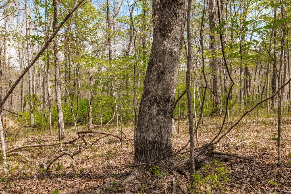 0 Mound Creek Road Kingston Springs TN 37082