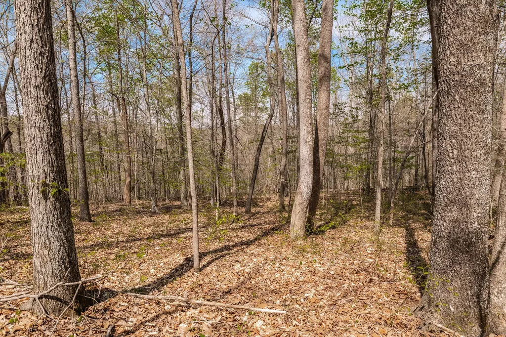 0 Mound Creek Road Kingston Springs TN 37082