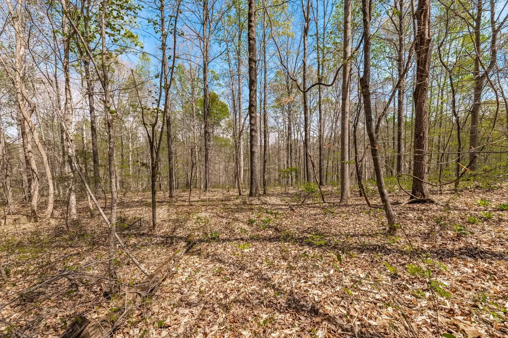 0 Mound Creek Road Kingston Springs TN 37082